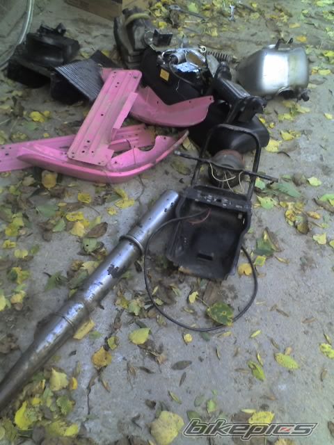 Bike Photo 1436003
