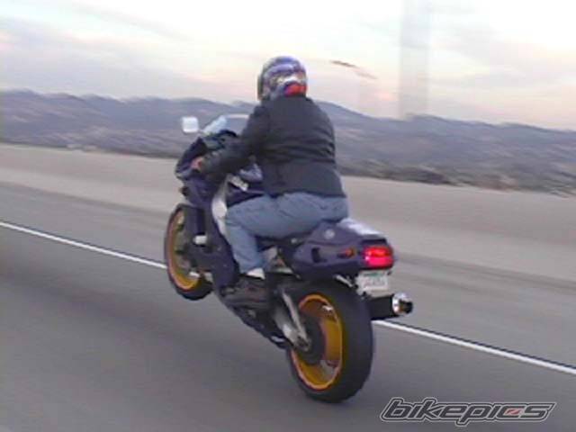 Photo 14361