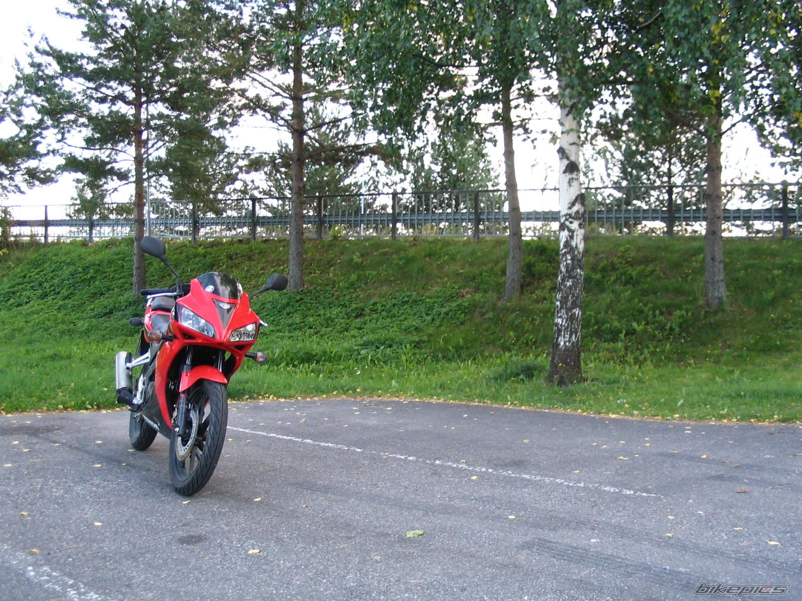 Photo 1436159
