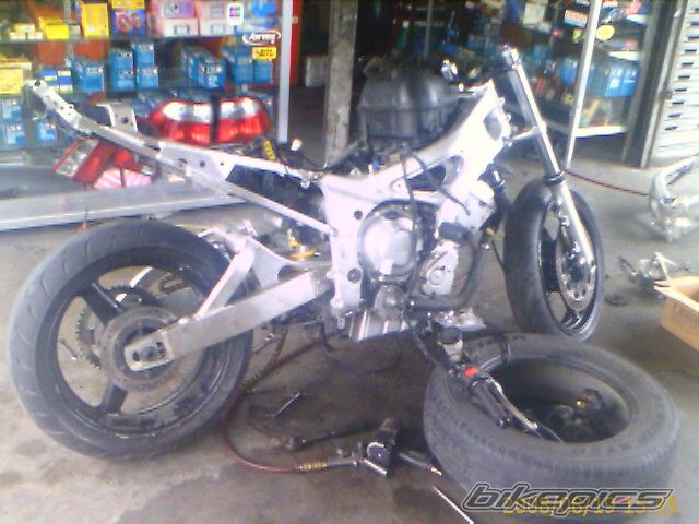Photo 1436318