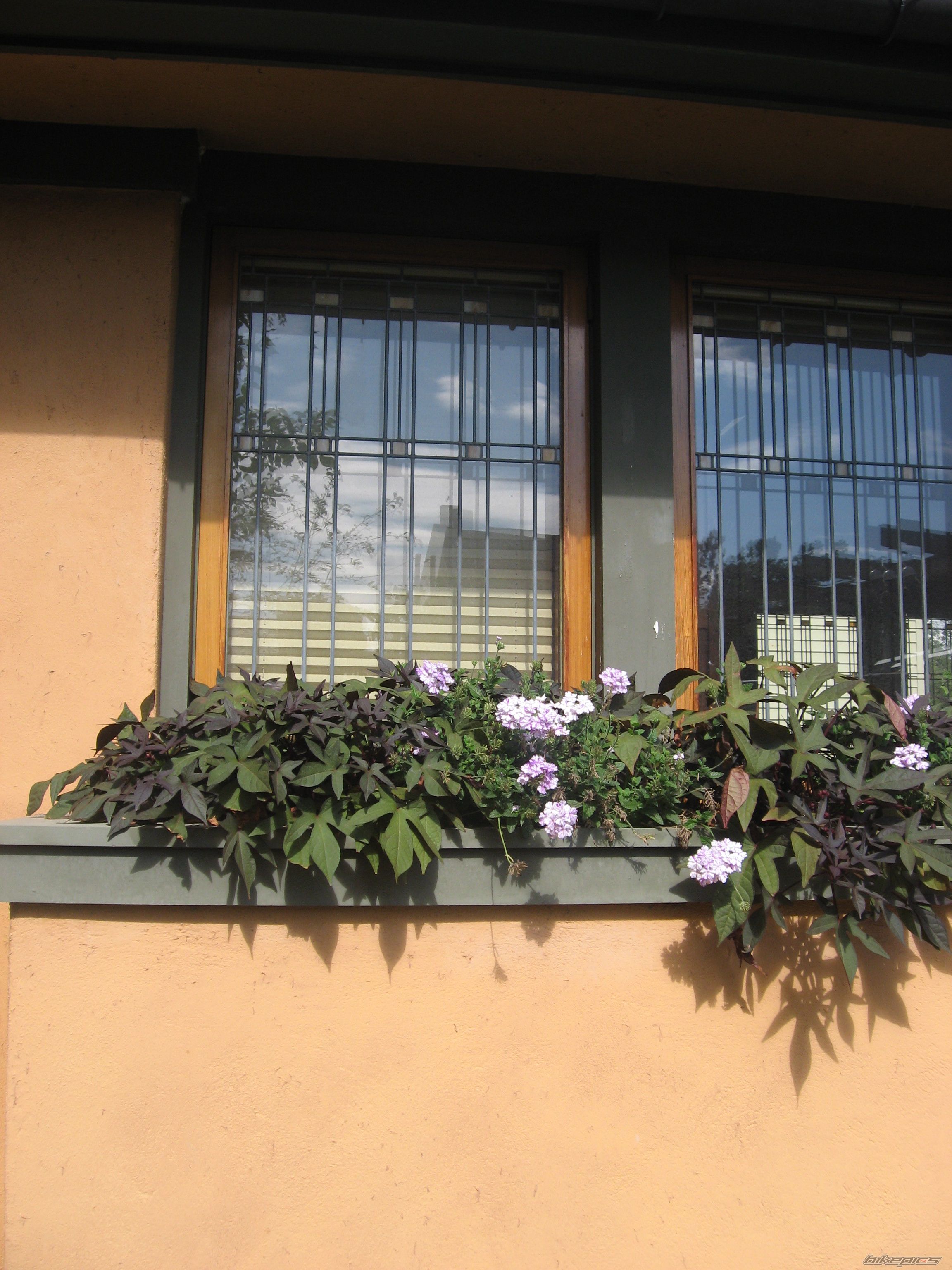 Photo 1436332