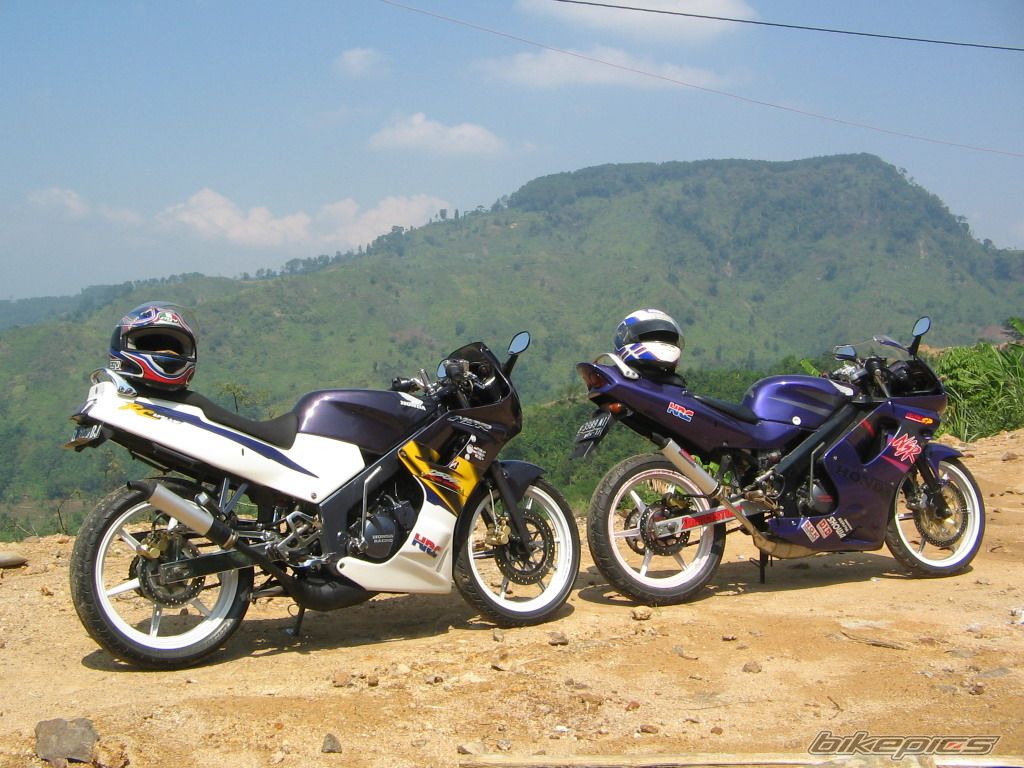 Photo 1436504