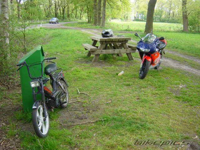 Photo 1436580