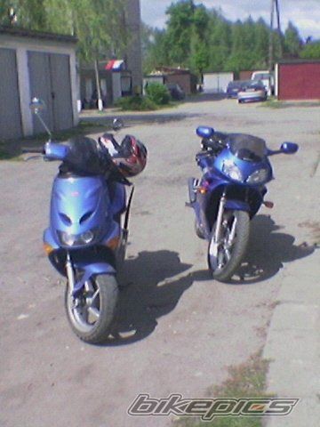 Photo 1436871