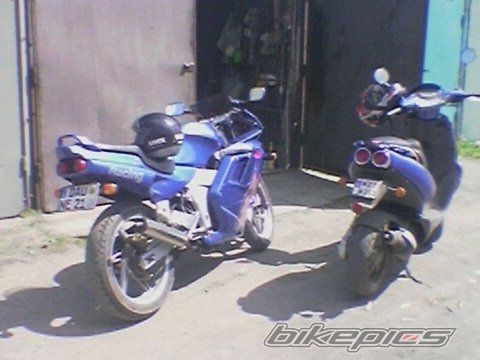 Photo 1436873