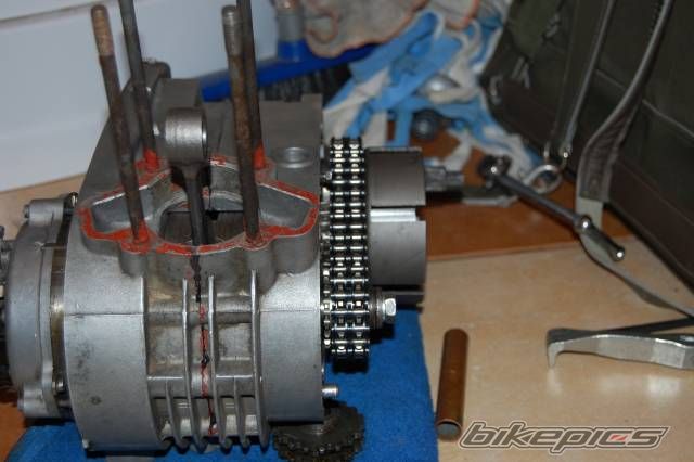 Photo 1436894