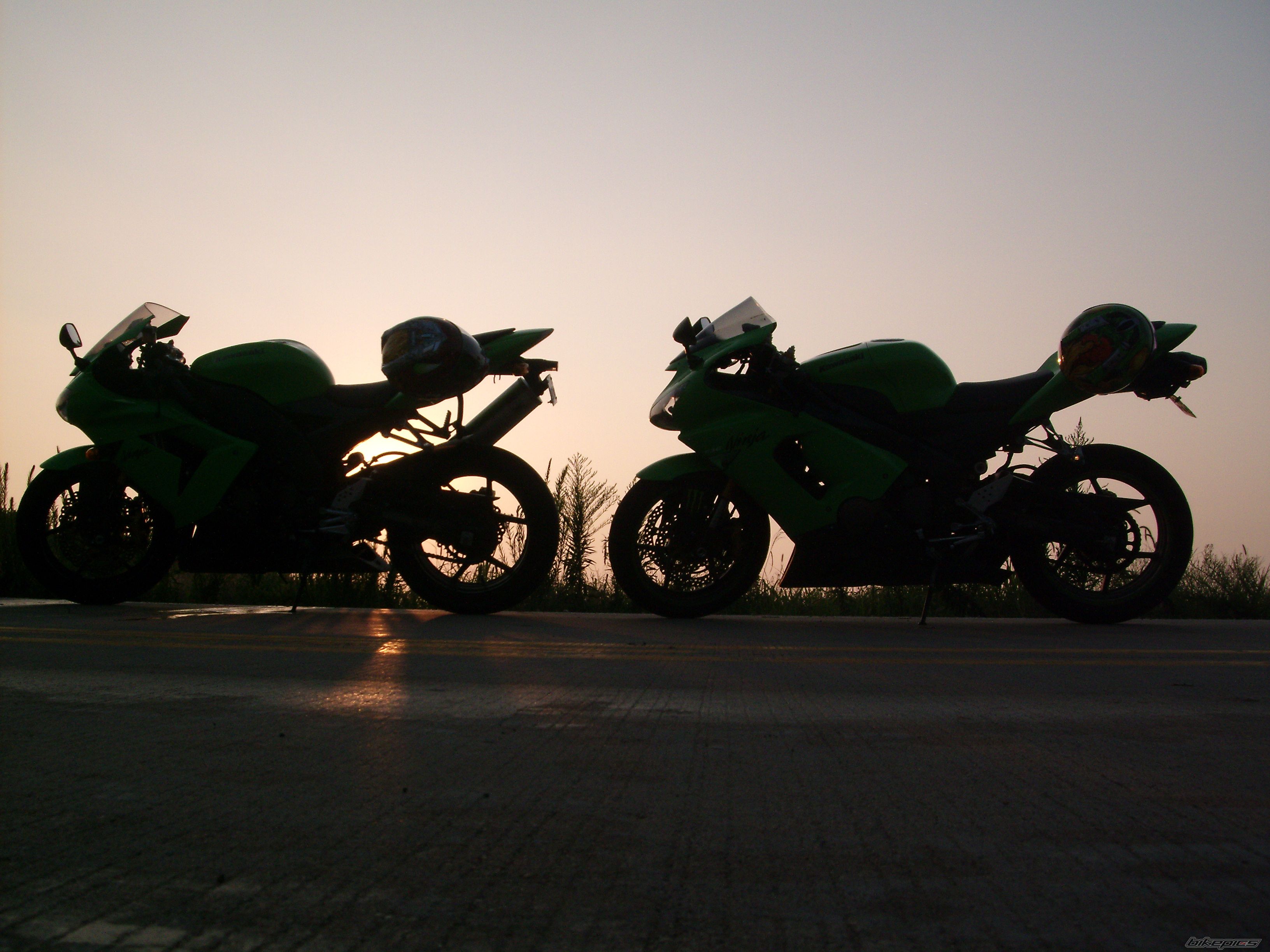 Photo 1437003