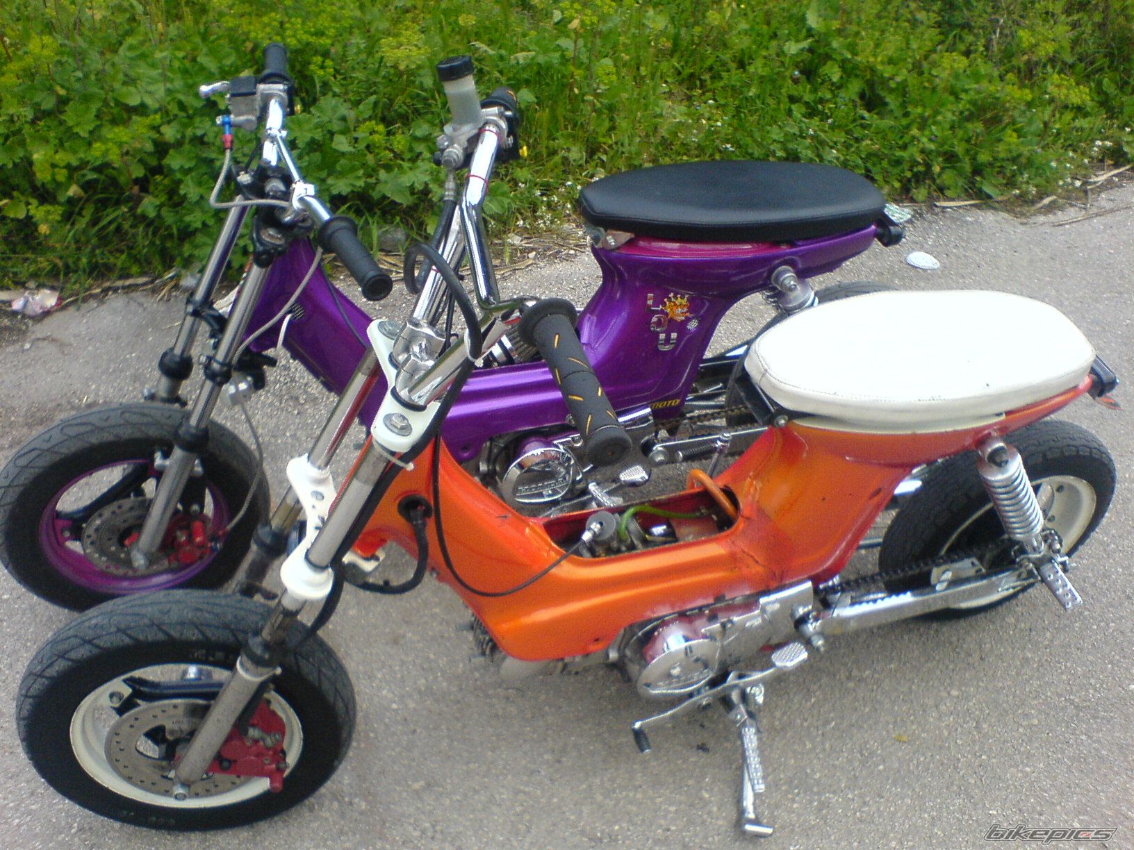 Photo 1437022