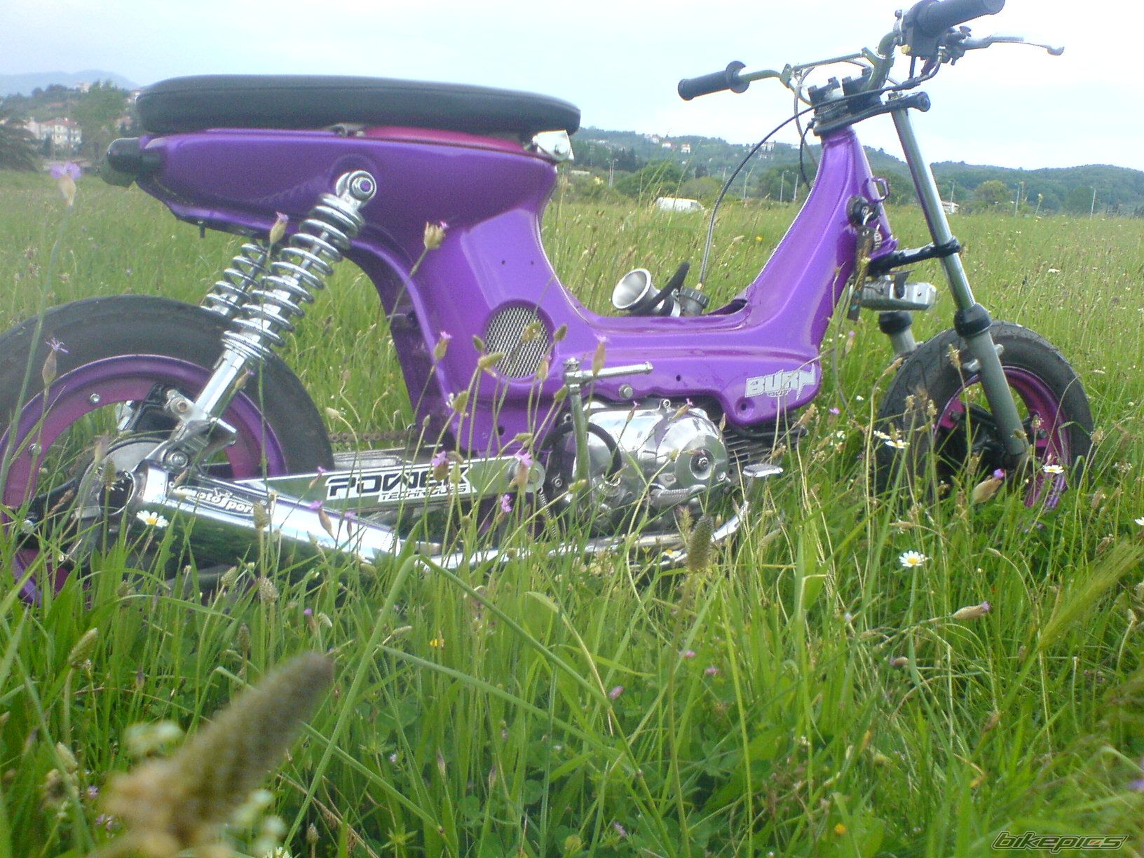 Photo 1437023