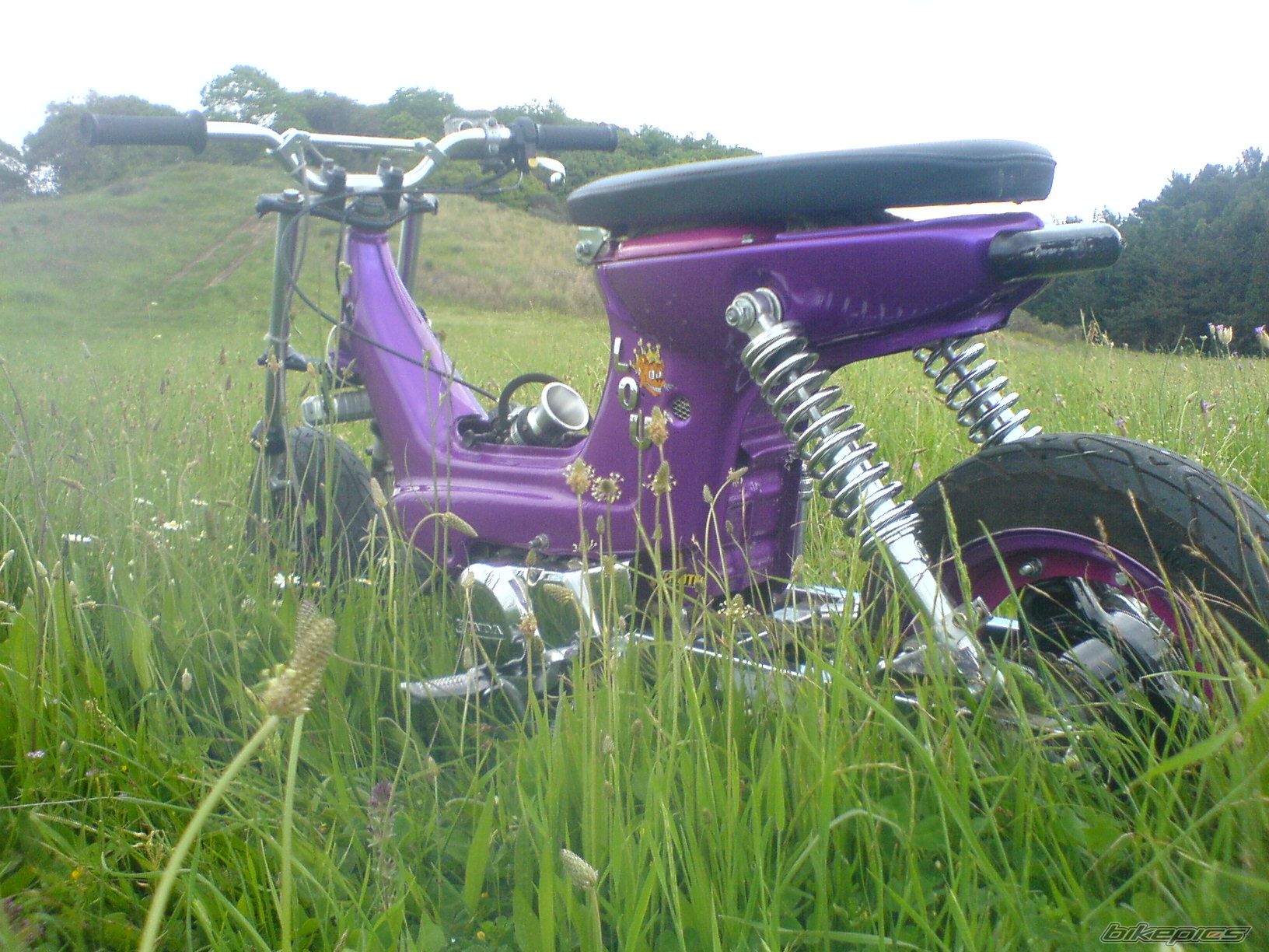 Photo 1437024