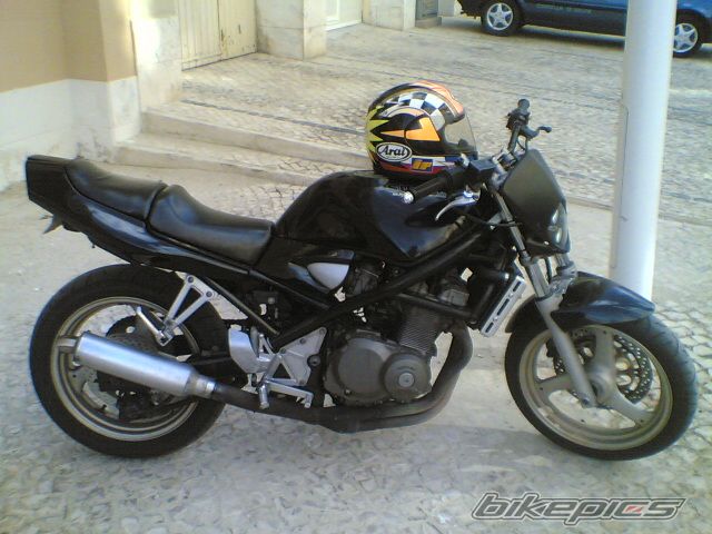 Photo 1437123