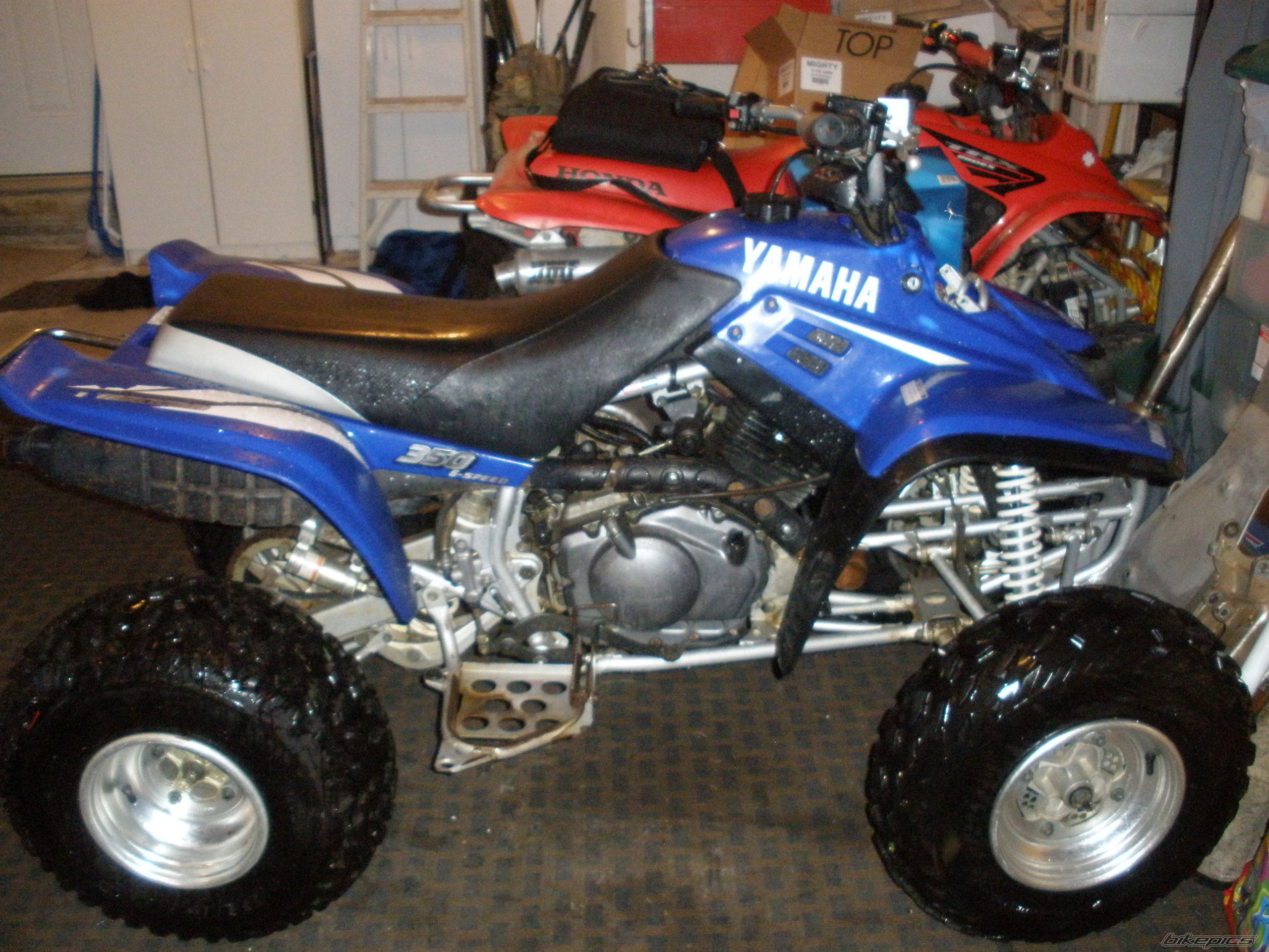 Photo 1437129