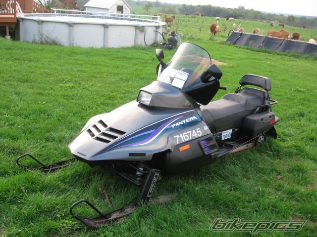Photo 1437135