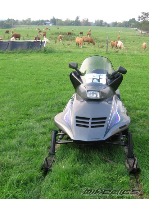 Photo 1437138
