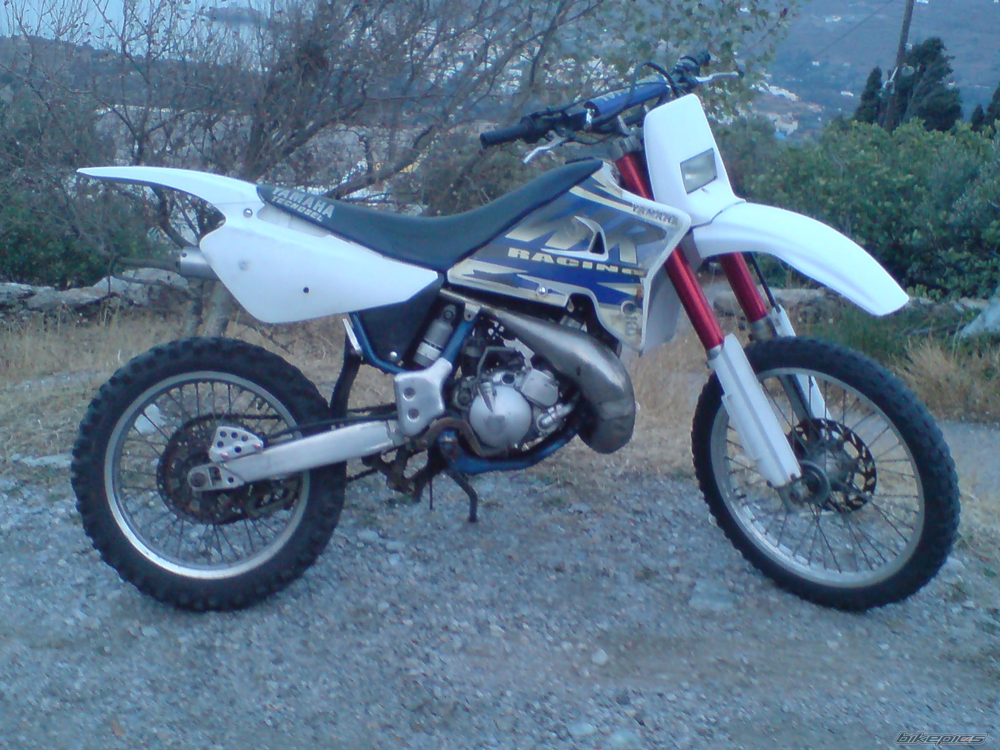 Photo 1437241