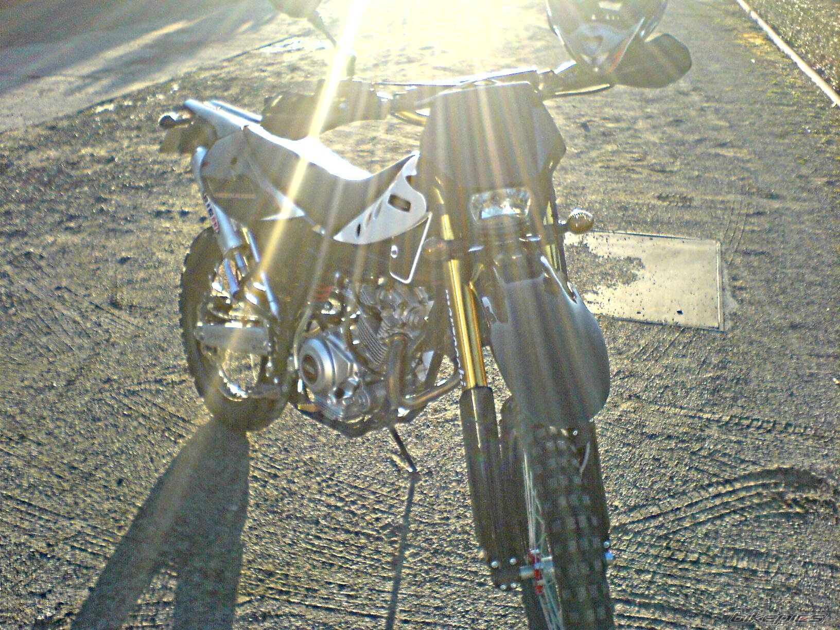 Photo 1437259