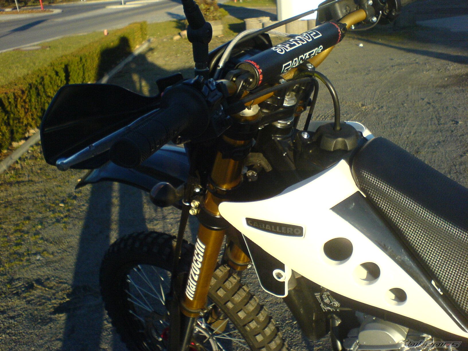 Photo 1437260