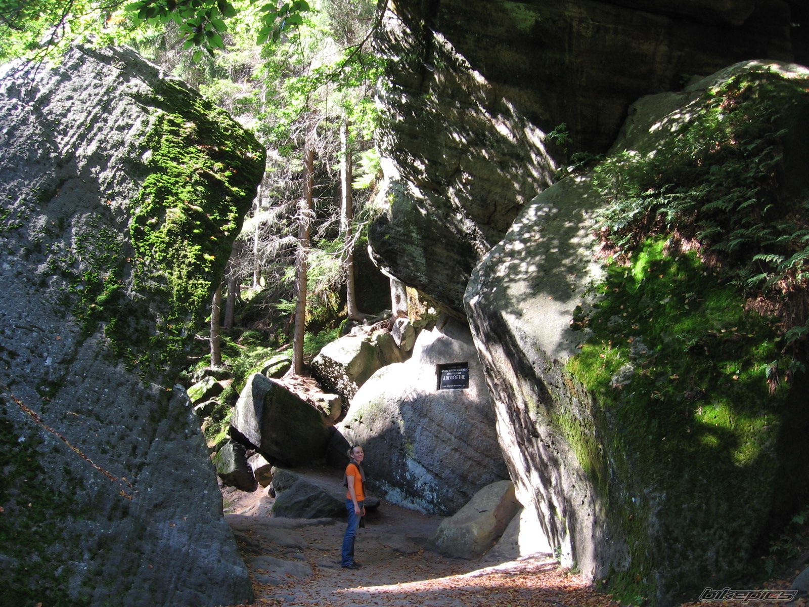 Photo 1437282