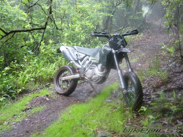 Photo 143733