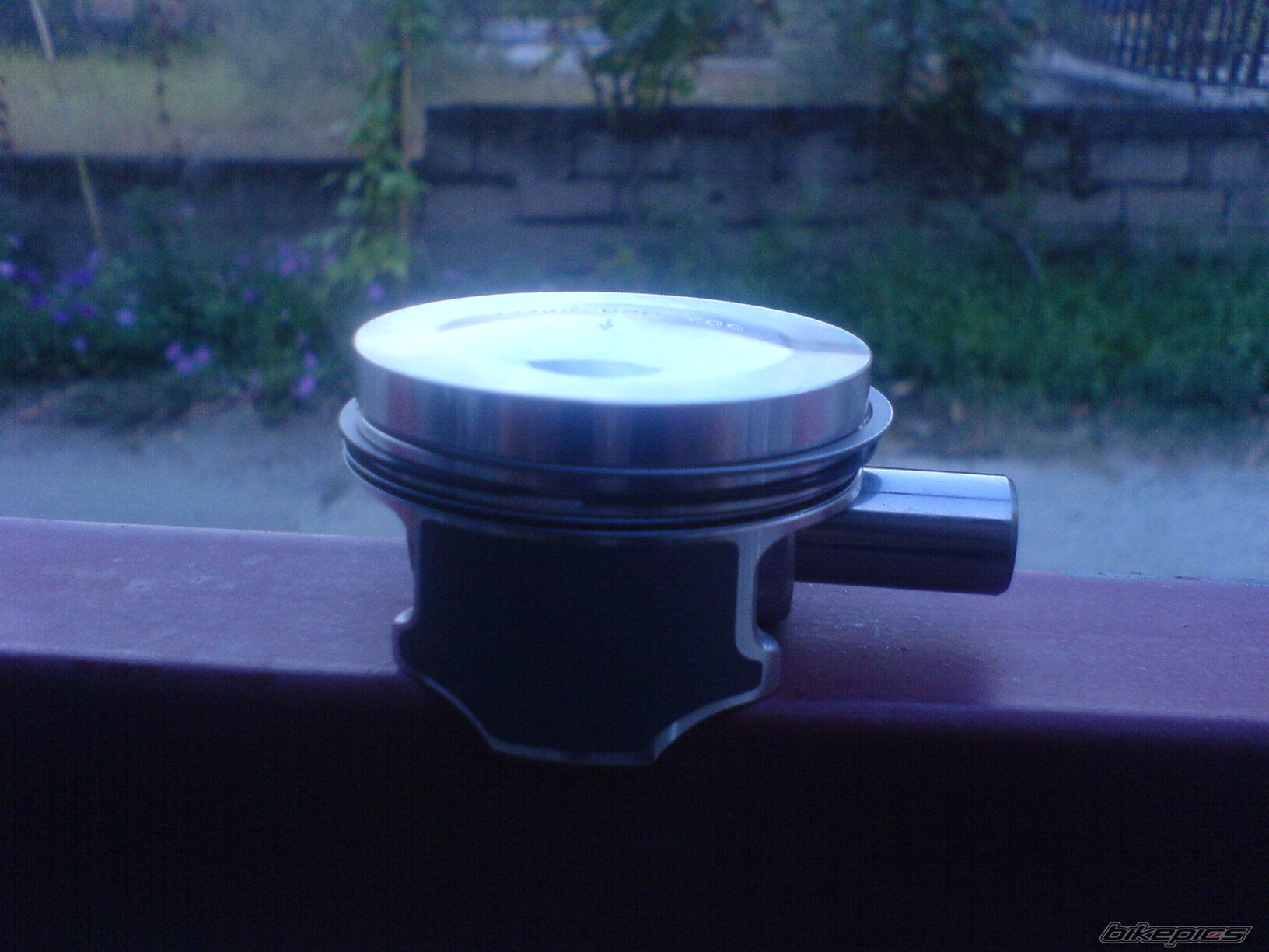 Photo 1437336