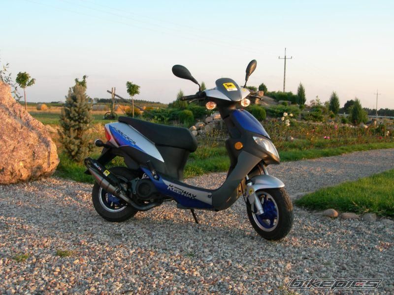 Photo 1437338