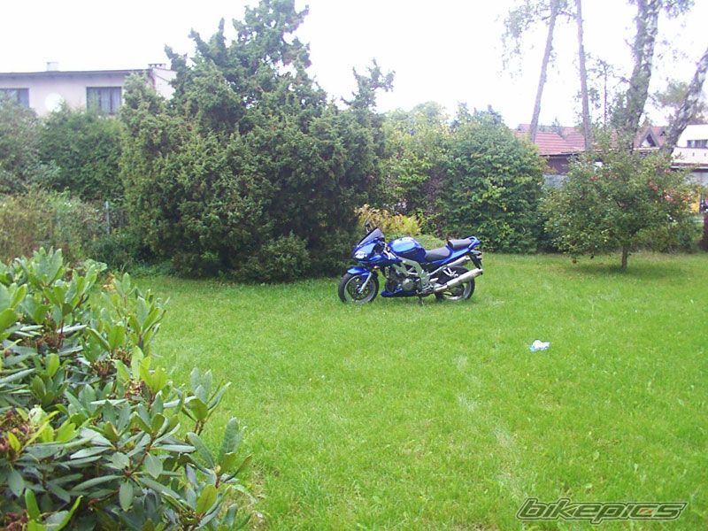 Photo 1437393