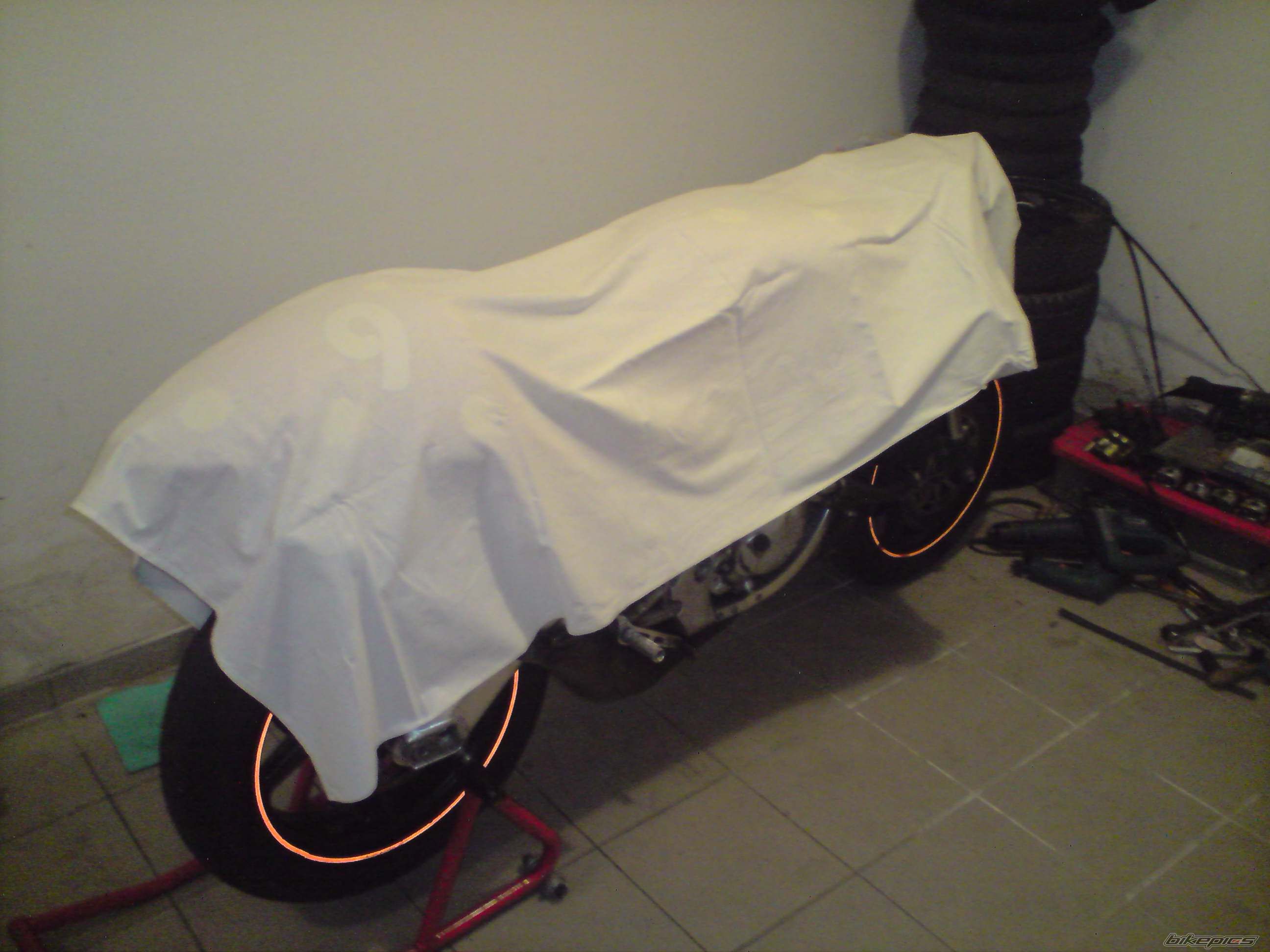 Photo 1437405