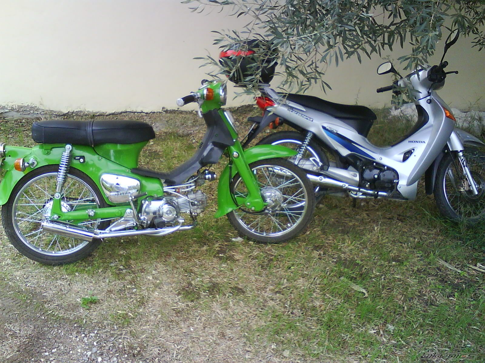 Photo 1437413