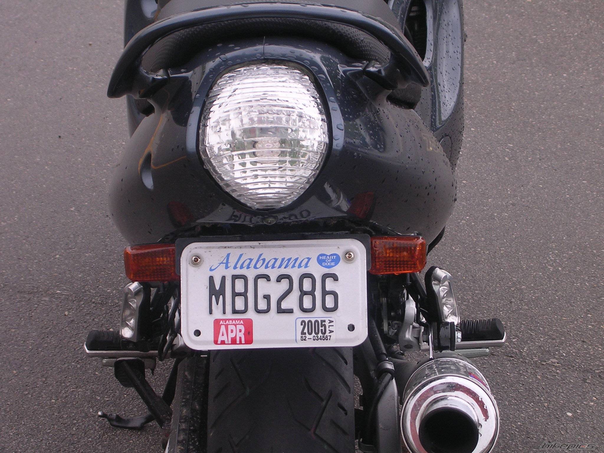 Photo 143742