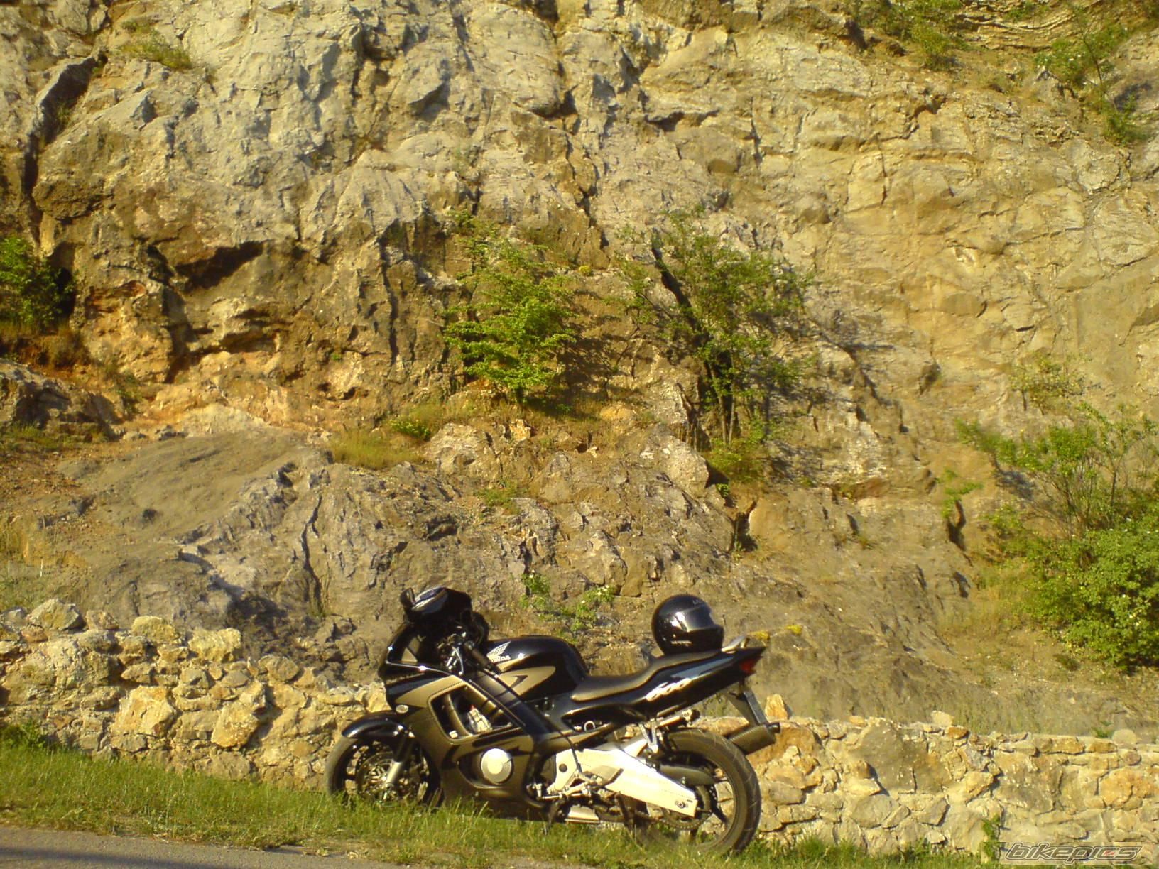 Photo 1437486