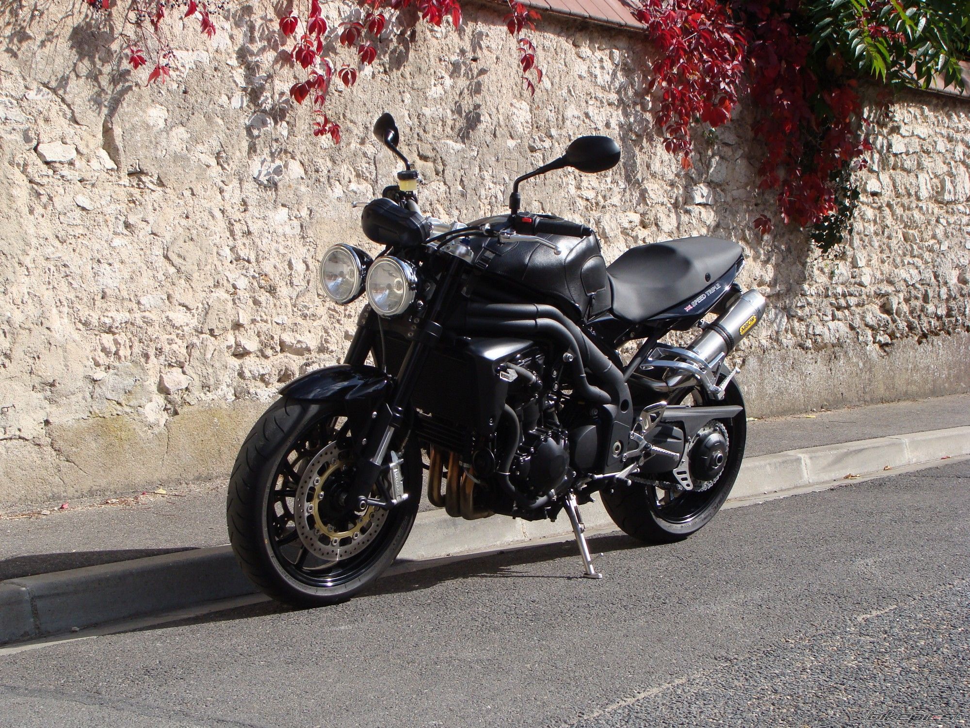 Photo 1437488