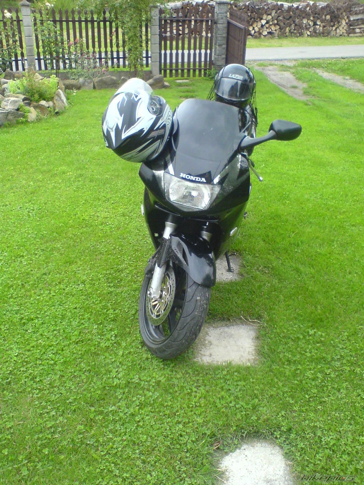 Photo 1437492