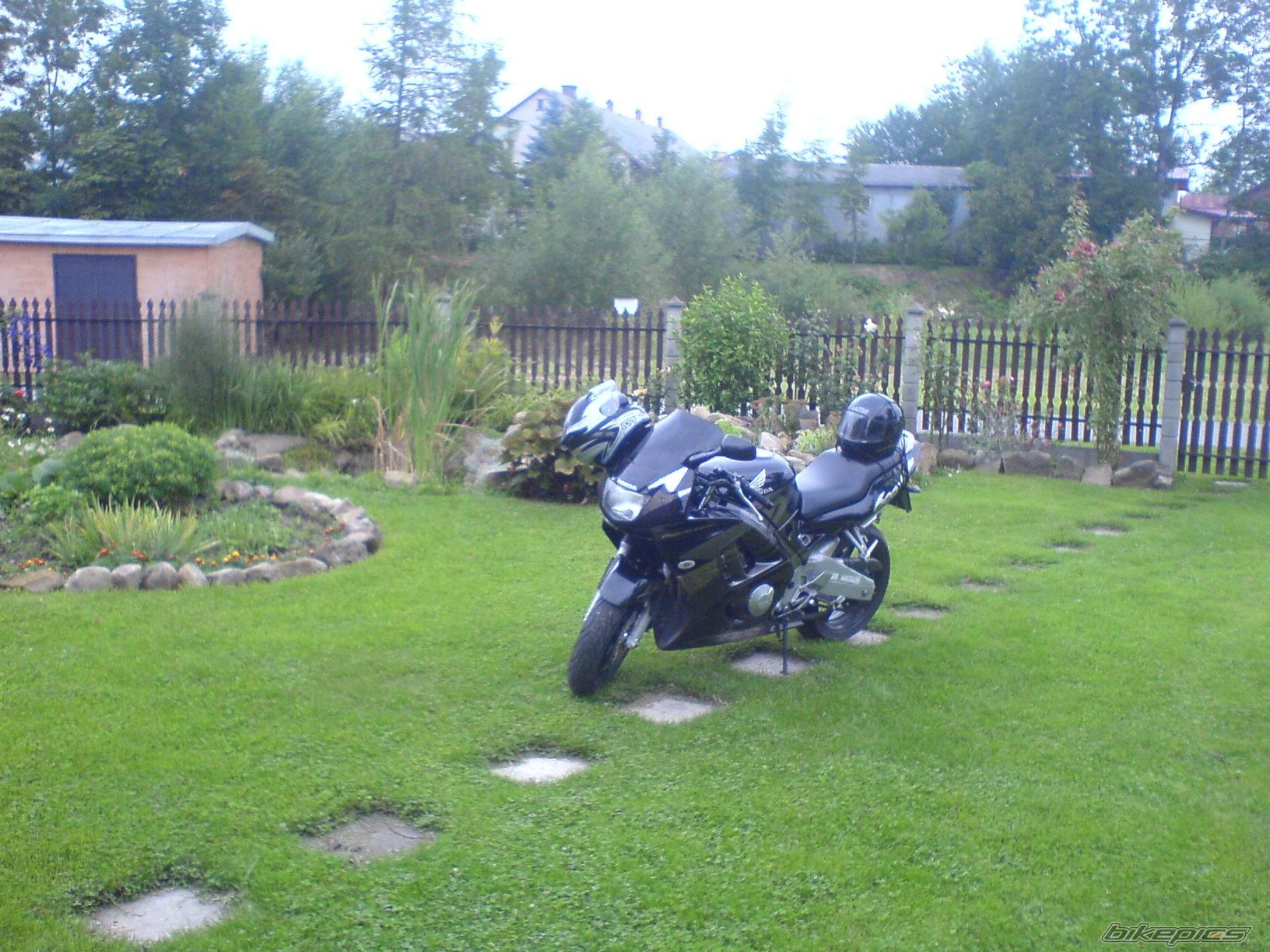 Photo 1437494