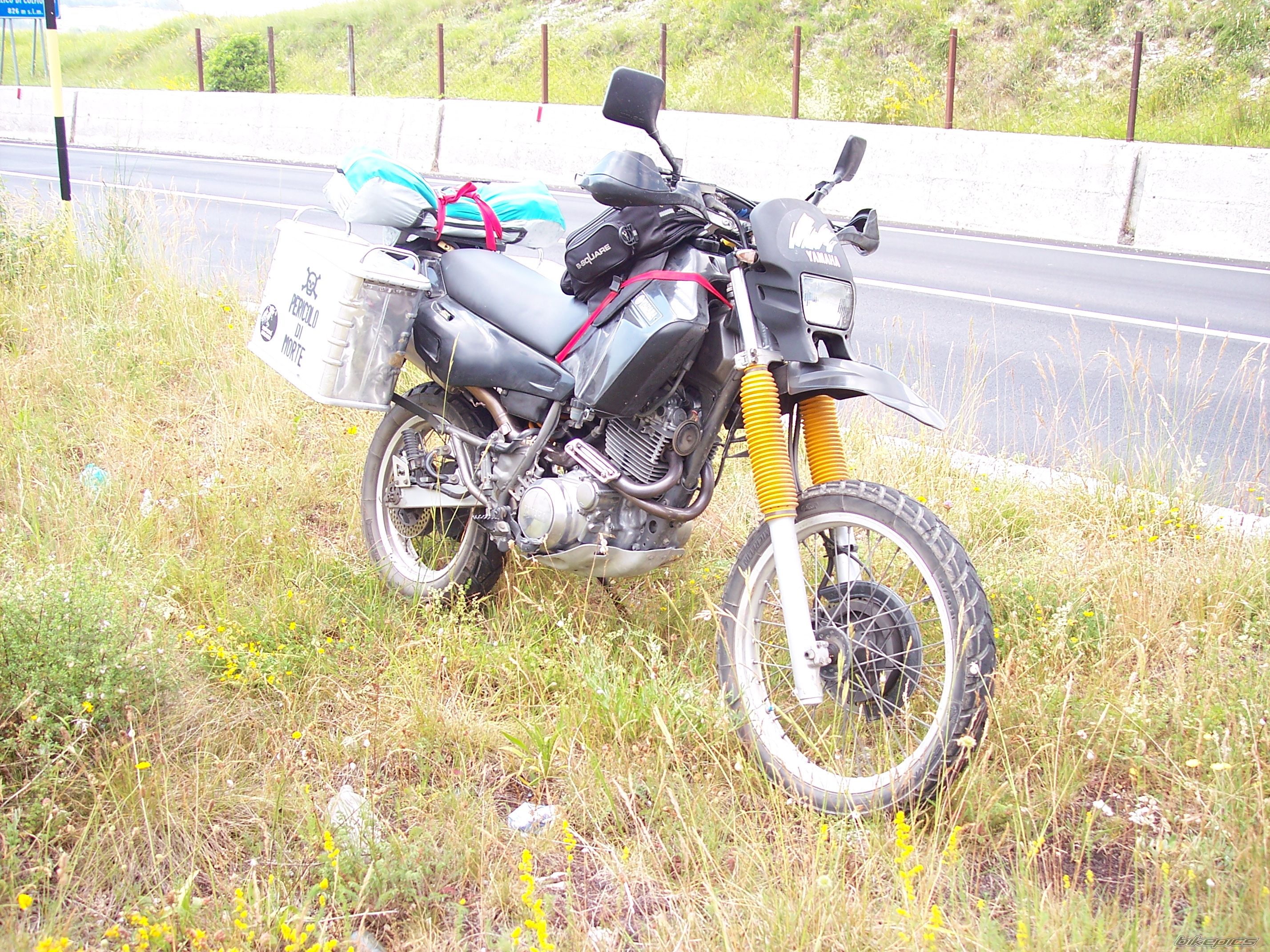 Photo 1437534