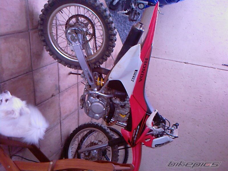 Bike Photo 1437535