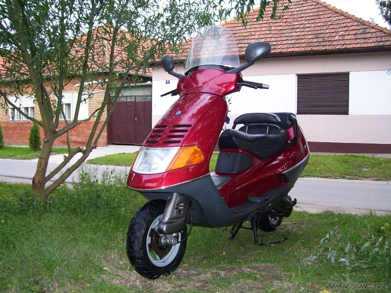Photo 1437569