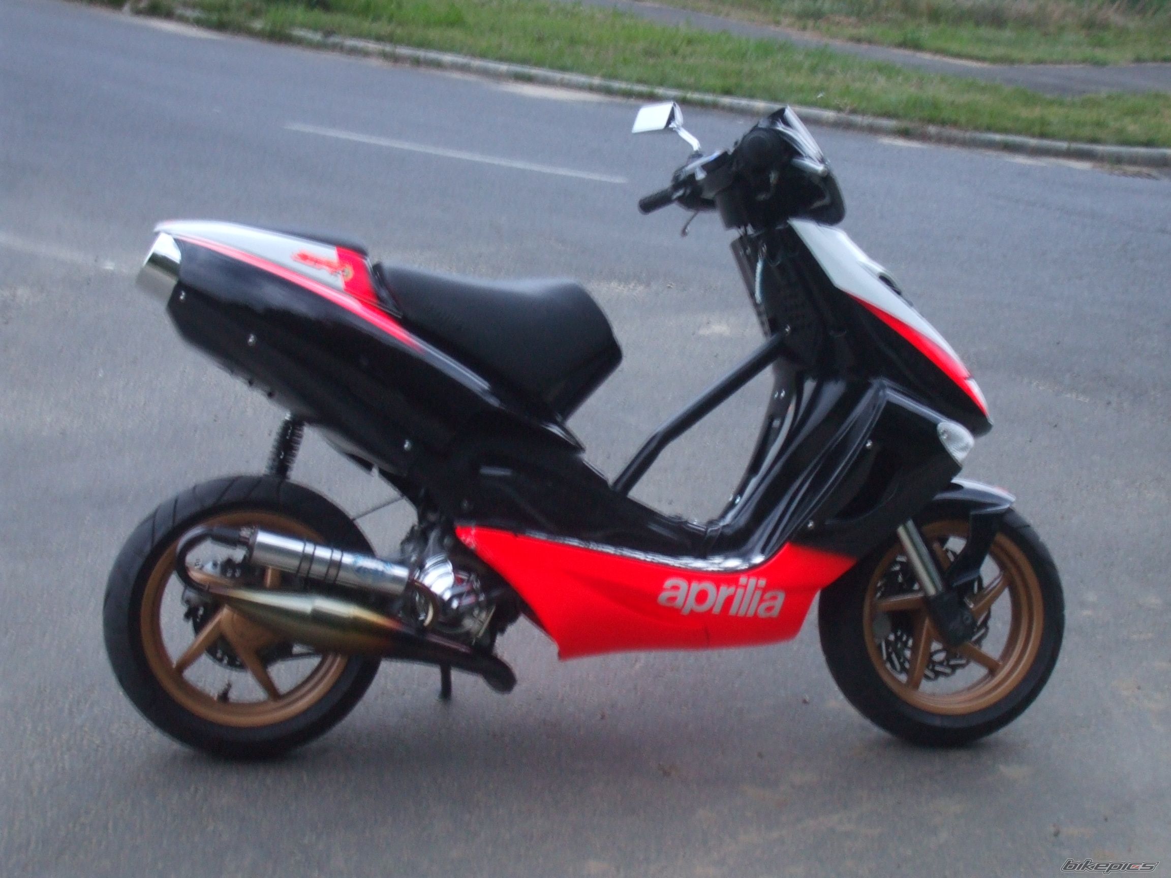 Photo 1437577