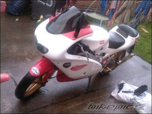 Photo 1437666