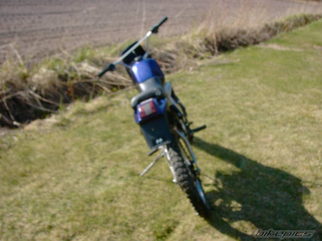 Photo 143768