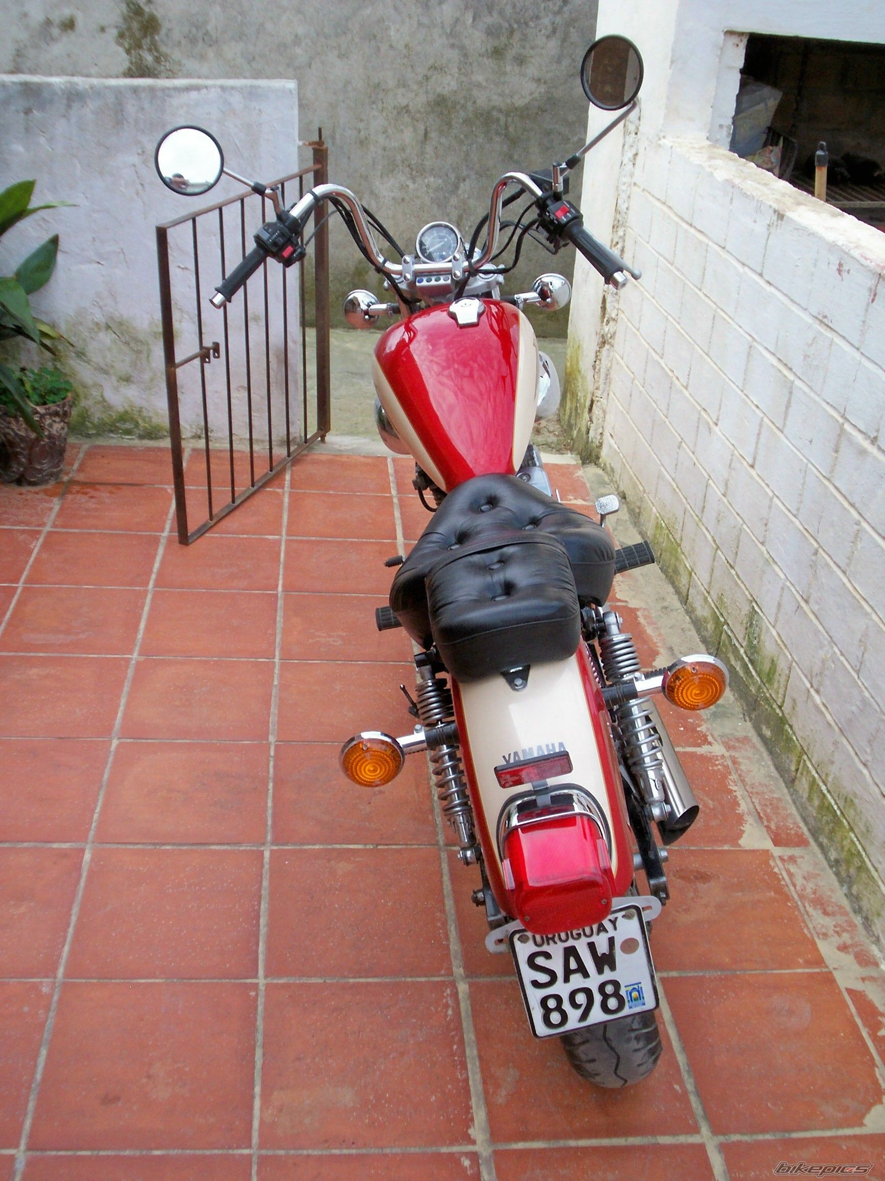 Photo 1437690