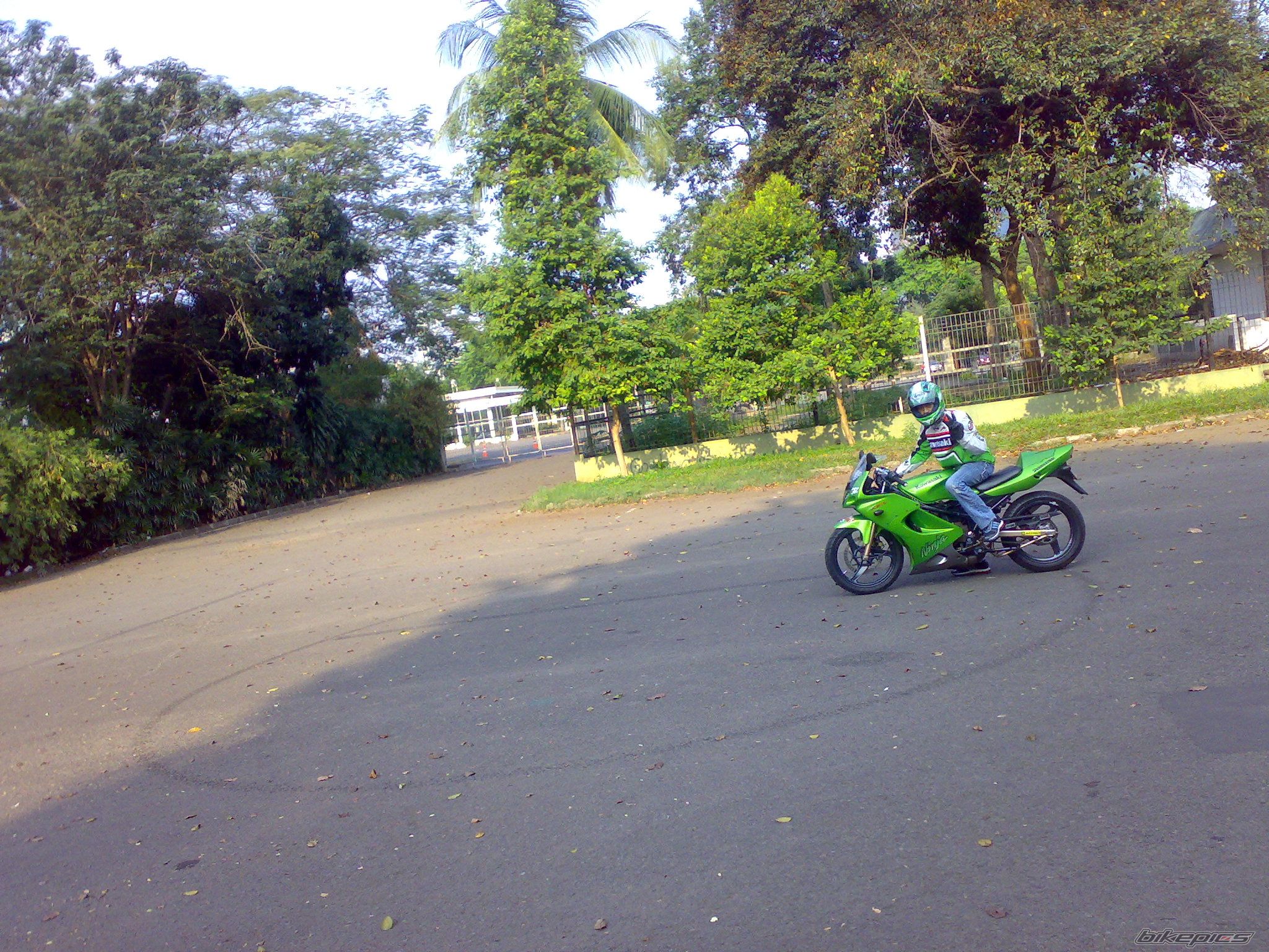 Photo 1437753