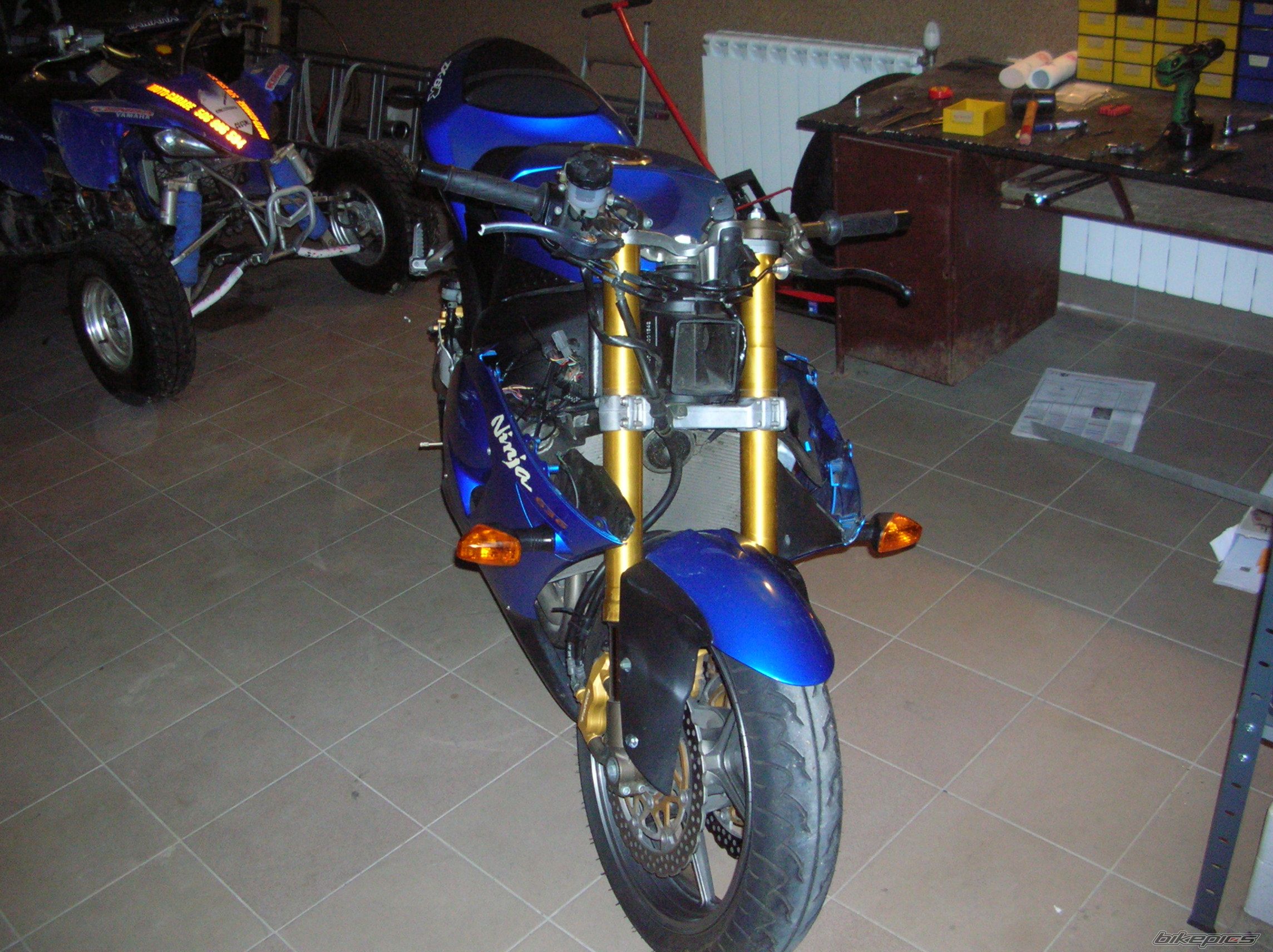 Photo 1437761