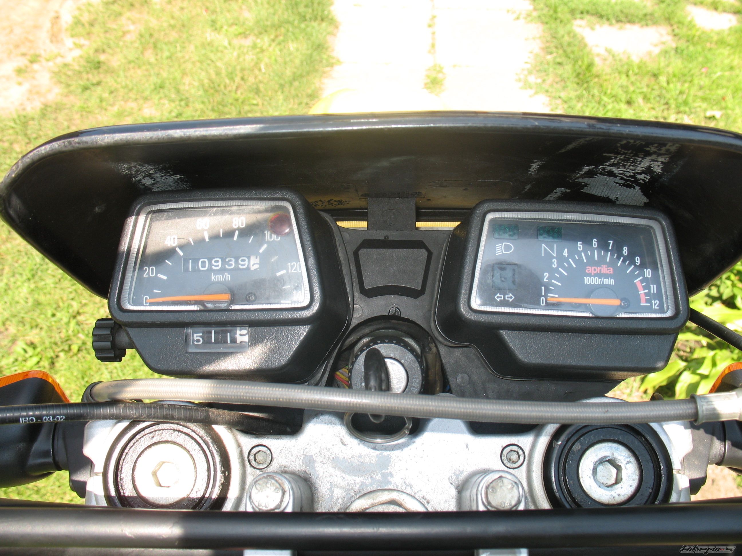 Photo 1437782