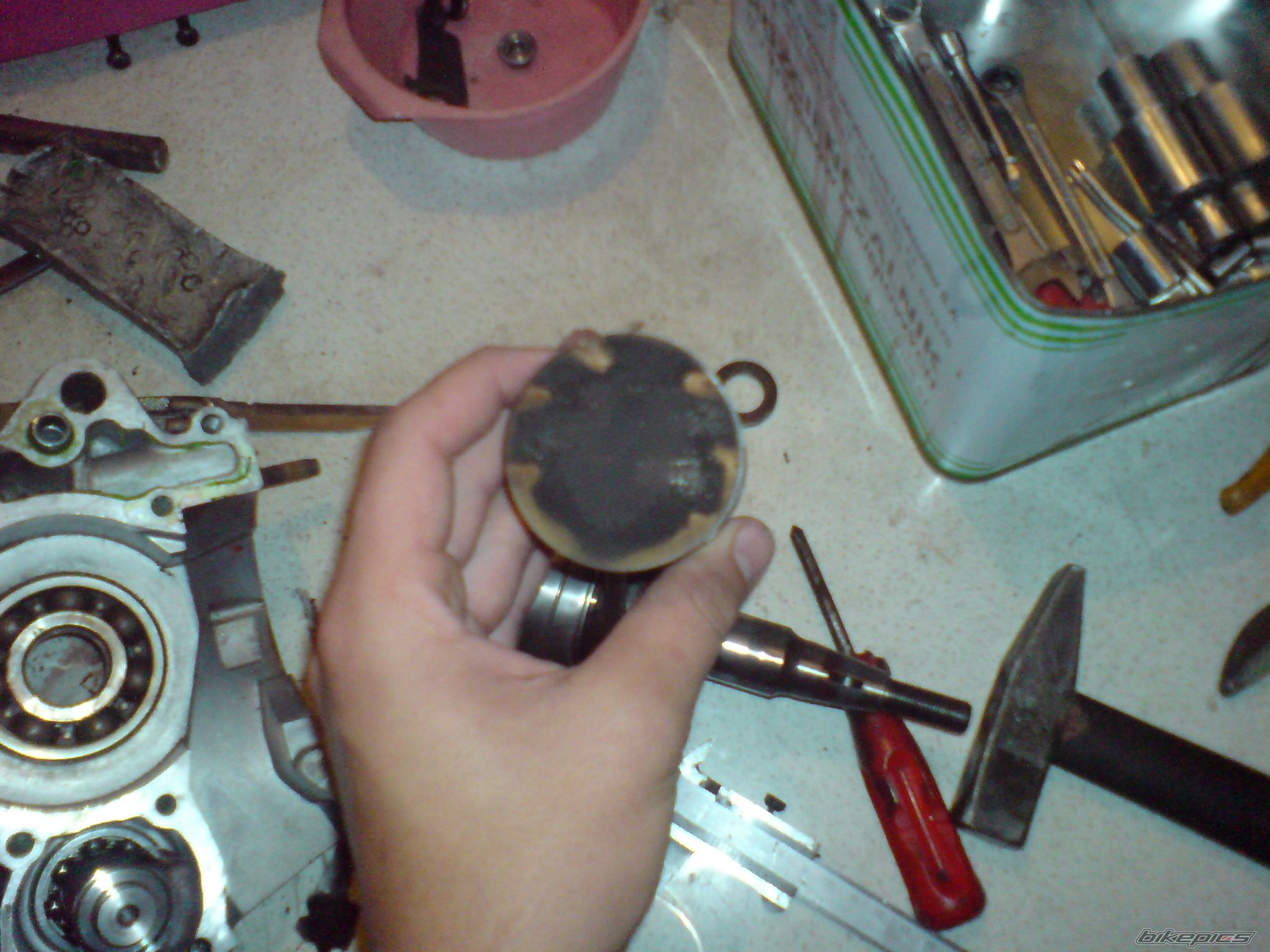 Photo 1437798