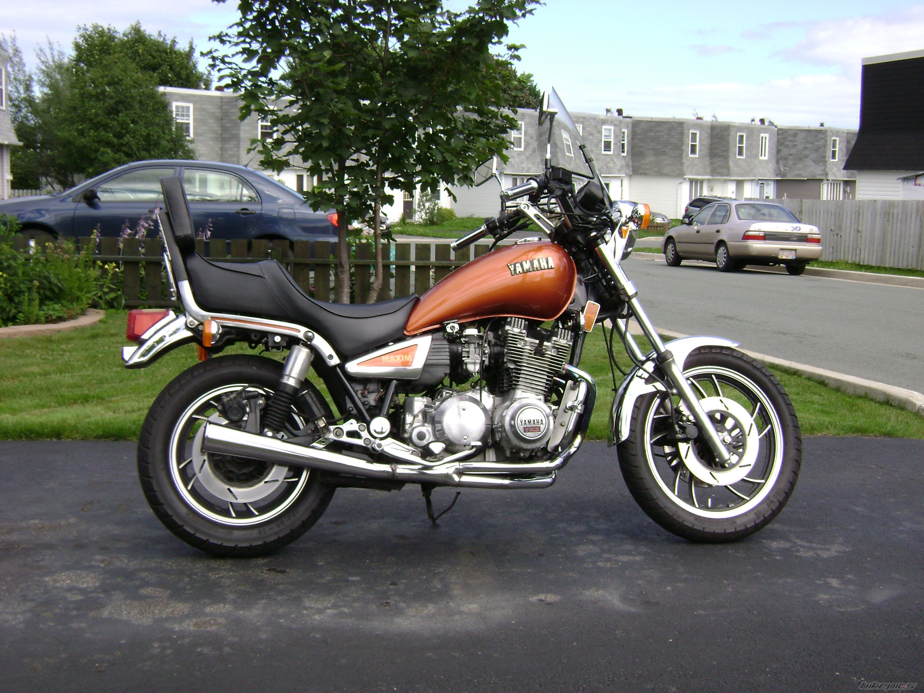 Photo 1437845