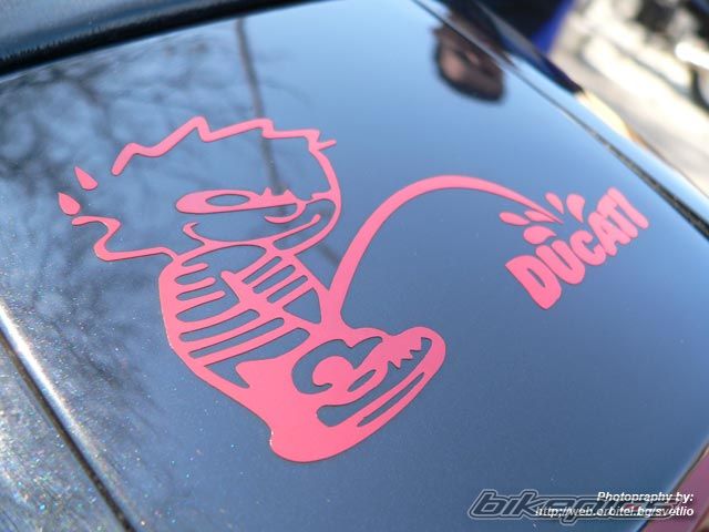 Bike Photo 1437858