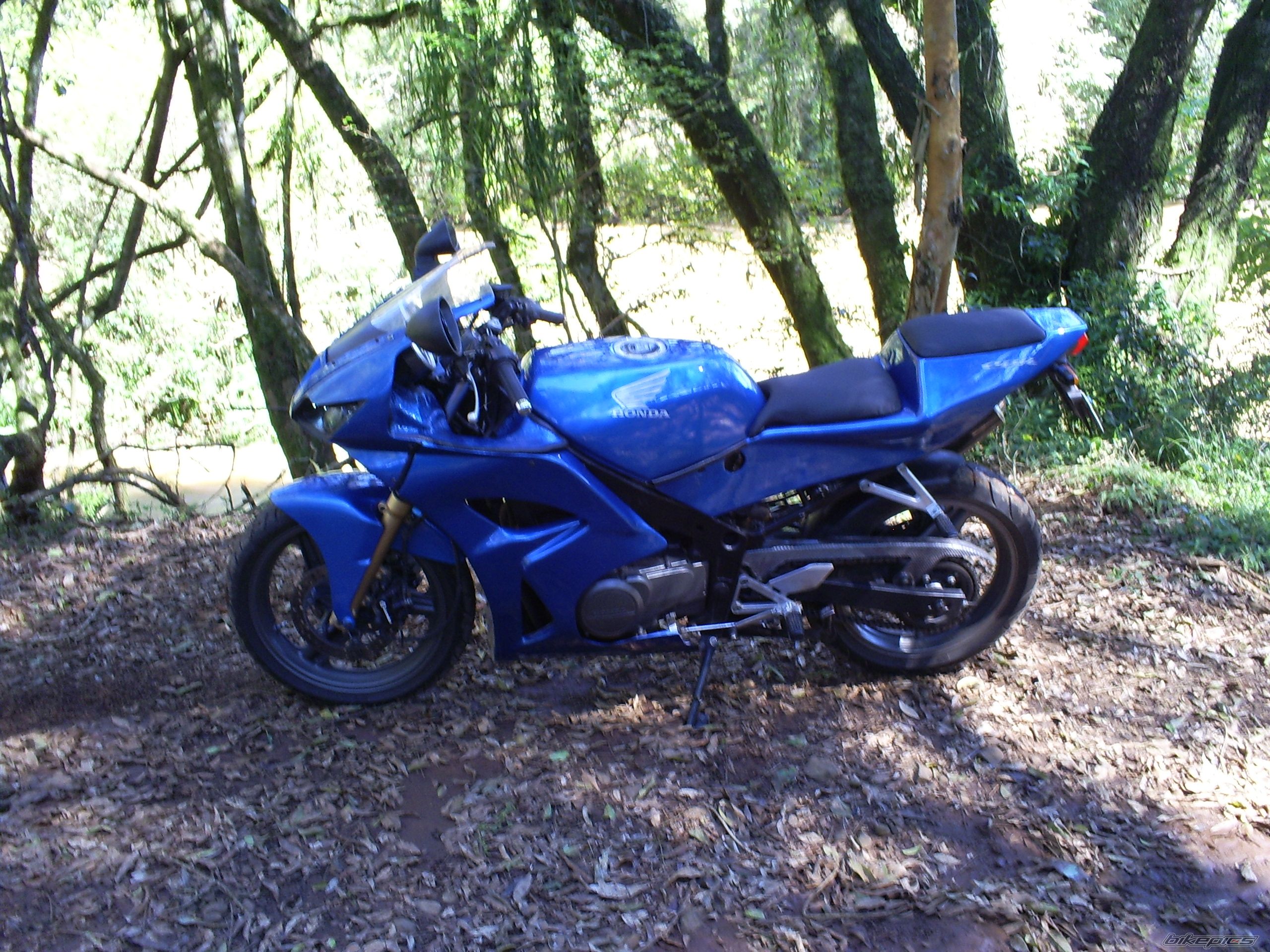 Photo 1437891