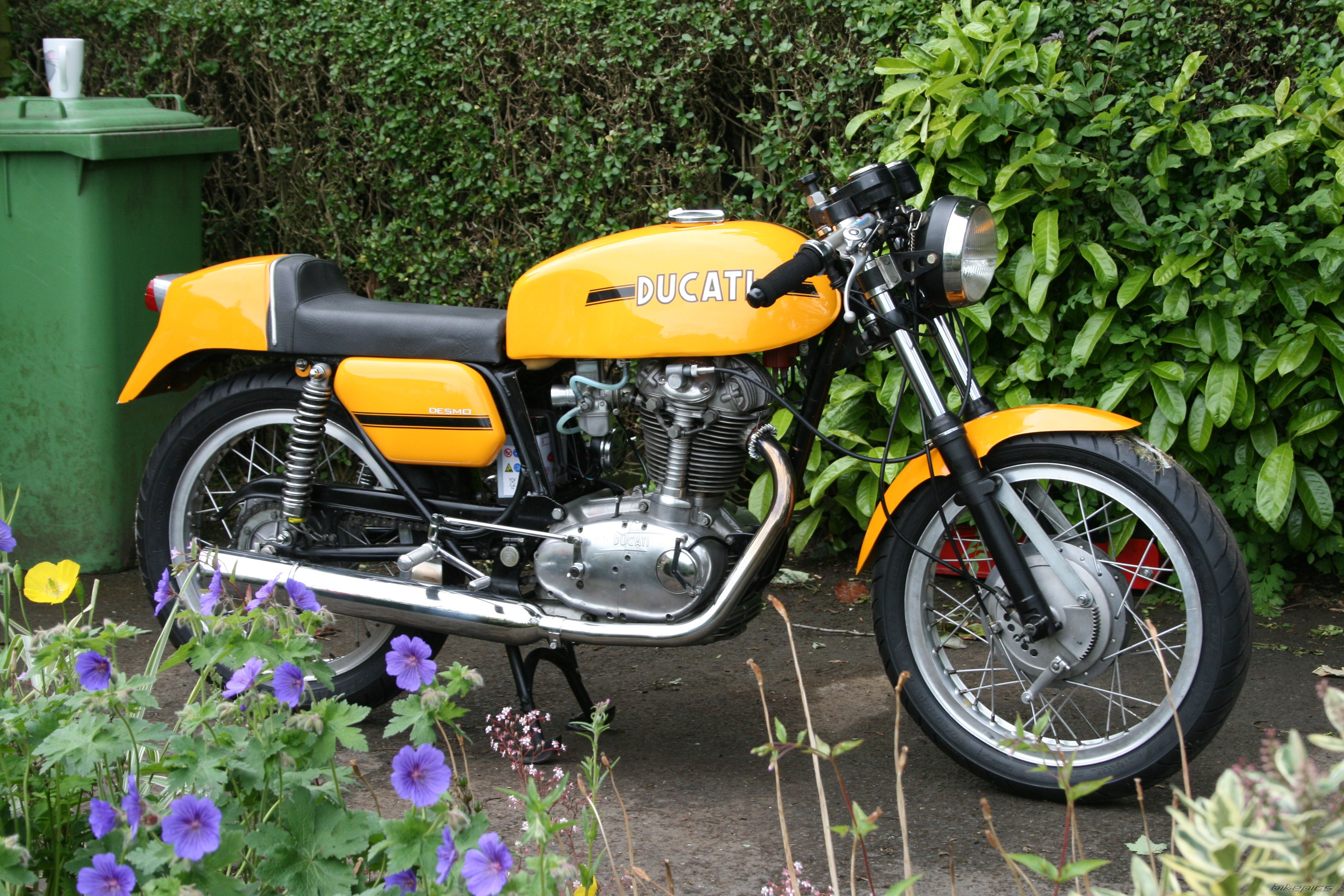 Bike Photo 1437892