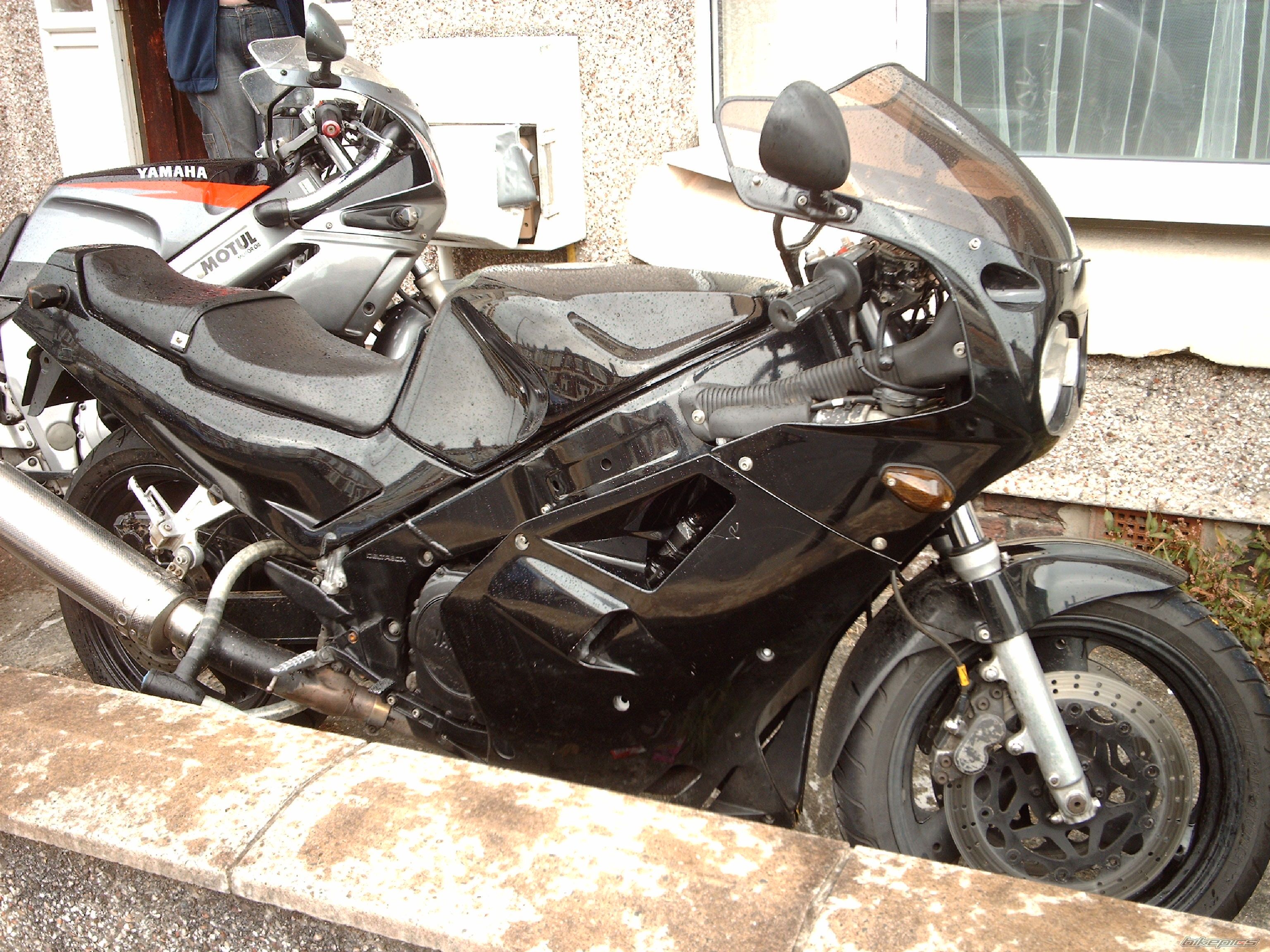 Photo 1437902