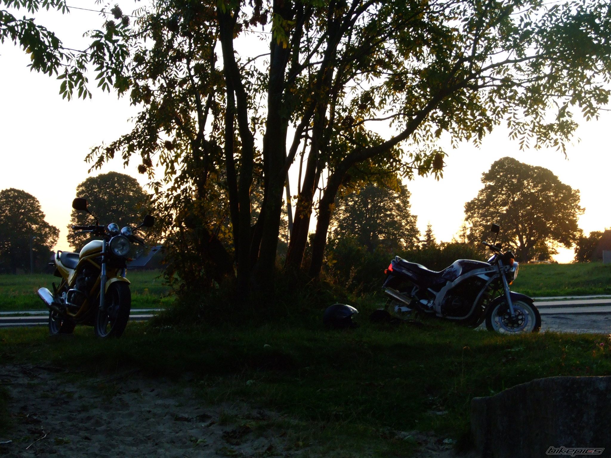 Bike Photo 1437903